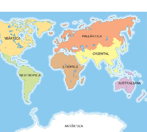 Mapa de las siete regiones biogeográficas del planeta.